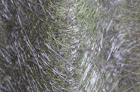 Woolton fibreglass roof work